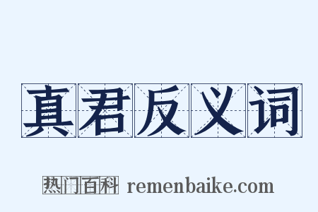 真君反义词是什么意思的图片